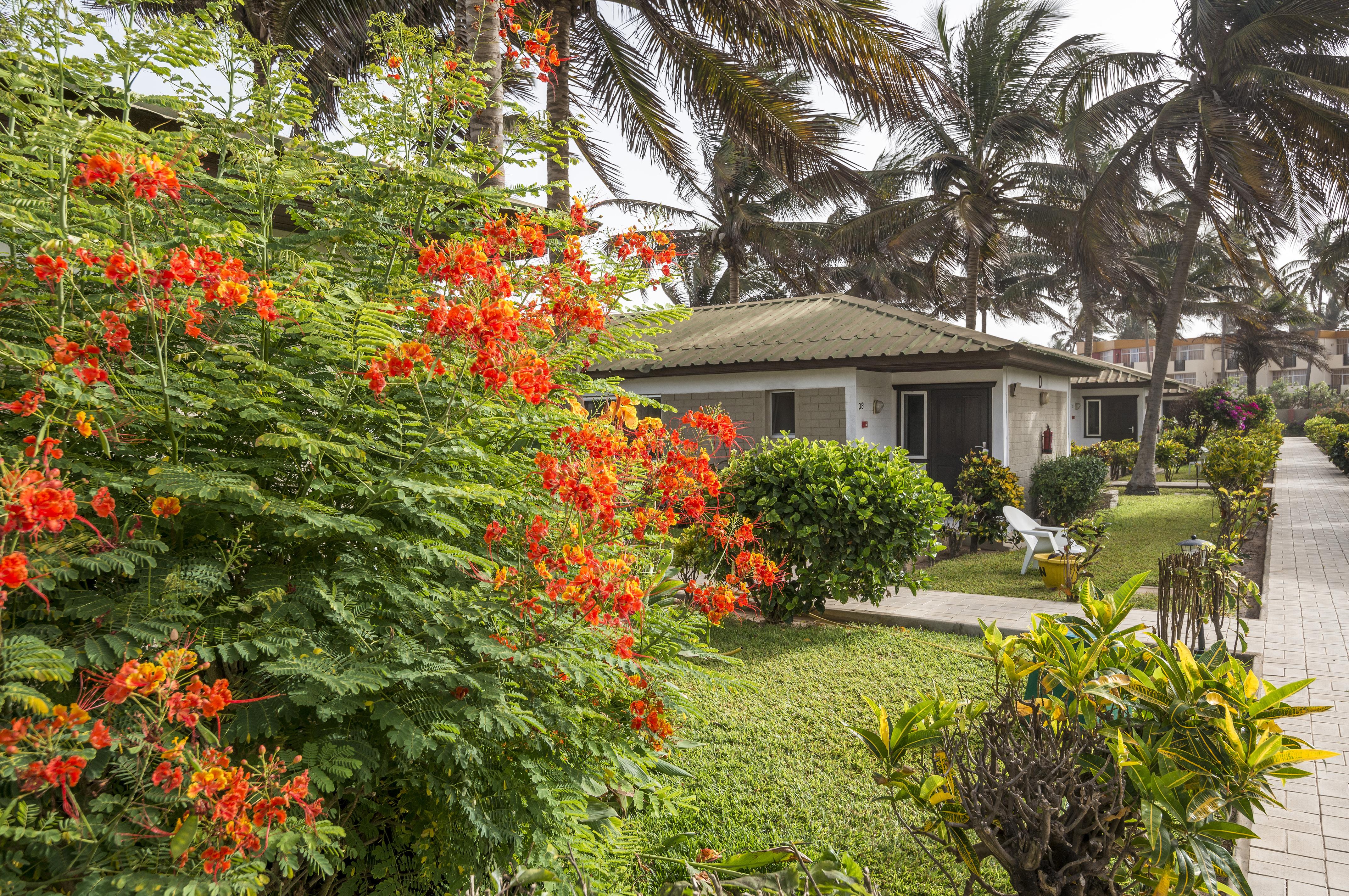 Sunset Beach Hotel Kotu Exterior photo